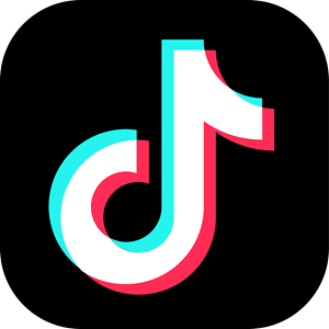 TikTok Chat